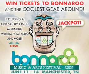 bonnaroo-300x250_phixr.jpg